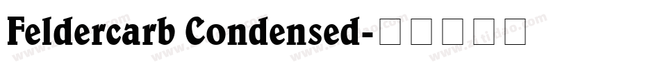 Feldercarb Condensed字体转换